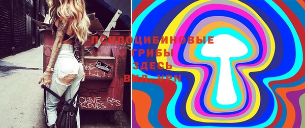 гидра Алексеевка
