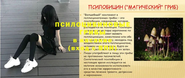 гидра Алексеевка