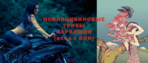 гидра Алексеевка