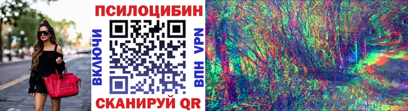 Псилоцибиновые грибы Psilocybine cubensis Исилькуль